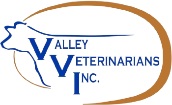 valley vaterinarians inc