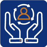 client window, carpet, and floor cleaning