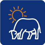 cows free estimate for cleaning service