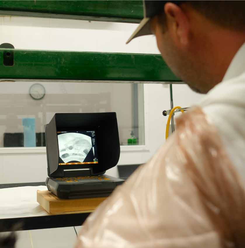 Reproductive Diagnostics