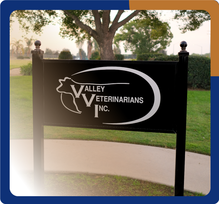 Valley-vets-inc