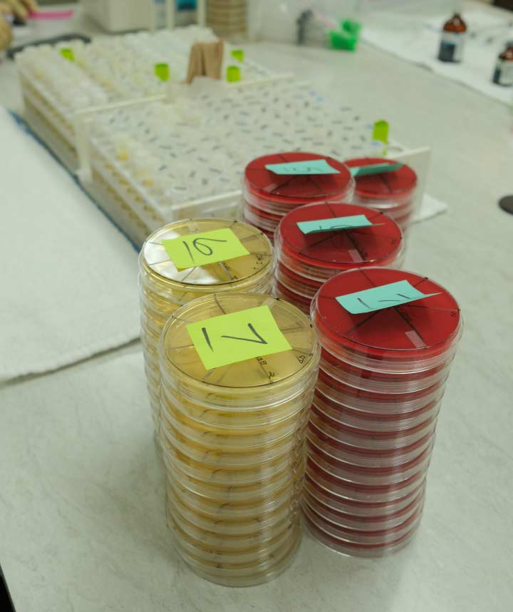 Milk Quality Laboratory