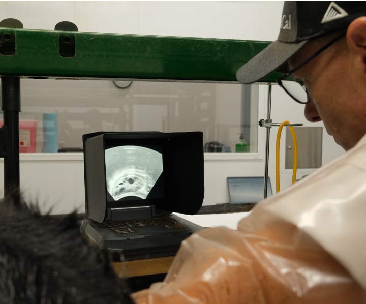 Ova Pick-Up (OPU) & In Vitro Fertilization (IVF)